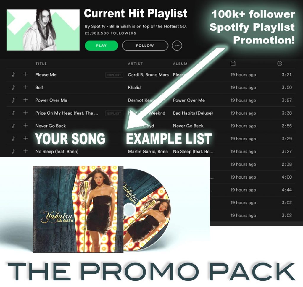 Spotify Promotion